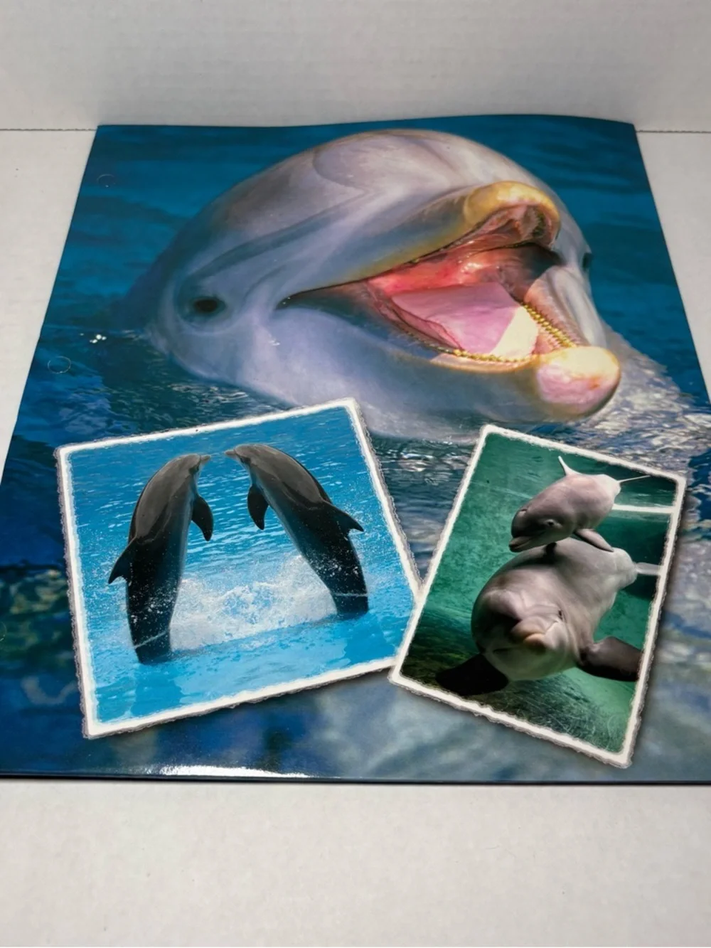 Vintage 90s y2k 2000s Dolphins Folder Office School Supply